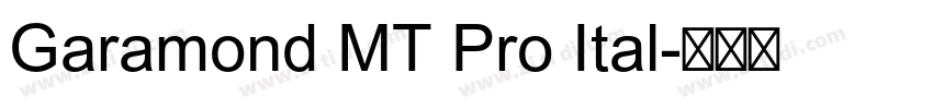 Garamond MT Pro Ital字体转换